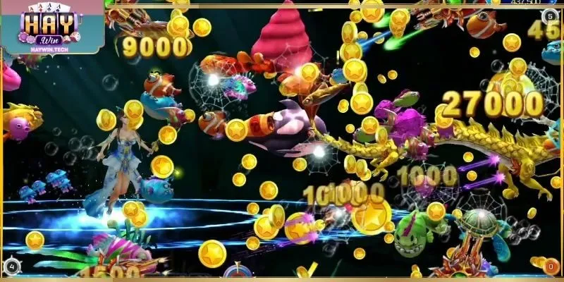 Chọn cược hợp lý