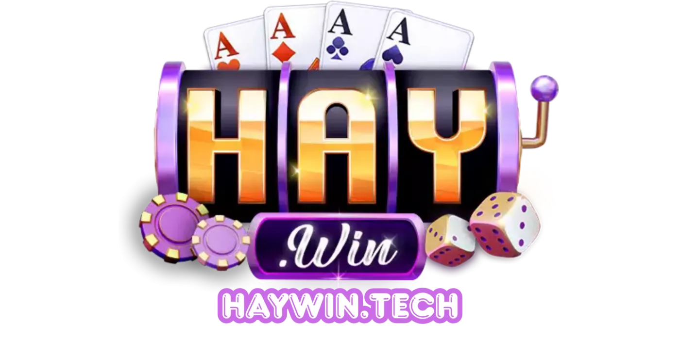 haywin.tech