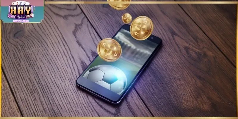 Thương hiệu uy tín Haywin