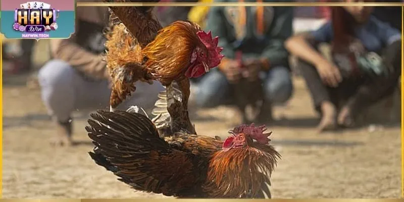 Kiểm tra lịch trước tiên