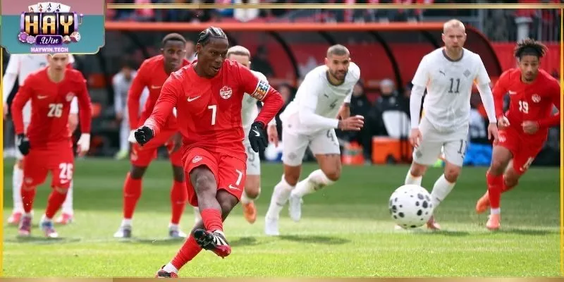 Ưu đãi theo dõi dữ liệu