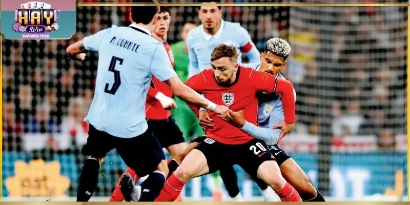 Nhận định kèo nhà cái