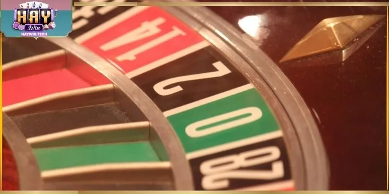 Bi di chuyển quanh bánh xe