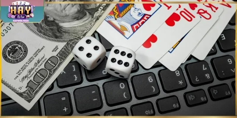 Theo dõi rút tiền Haywin