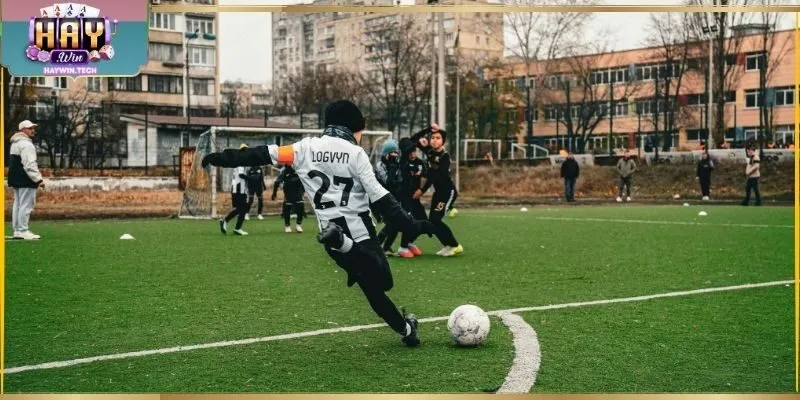 Lịch cập nhật liên tục